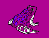 Coloring page Frog painted bysantaclausmrs lombardo