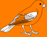 Coloring page Sparrow painted bycamille36
