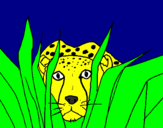 Coloring page Cheetah painted bytigre dientes de sable