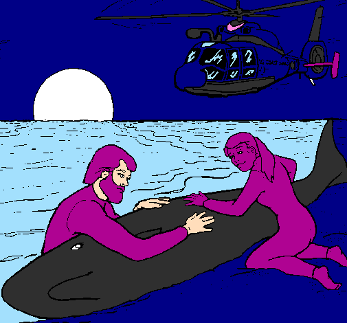 Whale rescue