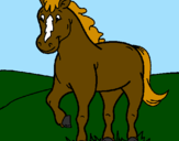 Coloring page Horse painted bypom-pom,flufy,& h.g.