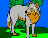 Coloring page Wolf painted bykayla