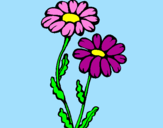 Coloring page Daisies painted byodalys