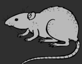 Coloring page Underground rat painted bybrad