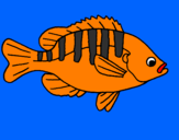 Coloring page Fish painted byrodolfo
