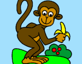 Coloring page Monkey painted bysam