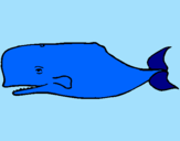 Coloring page Blue whale painted byblue whale