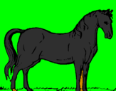 Coloring page Andalusian horse painted bygabi