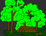 Coloring page Forest painted bykeelie