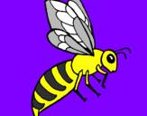 Coloring page Bee painted byIratxe