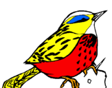 Coloring page Wren painted byisaacs bird