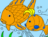 Coloring page Fish painted byJON MARTINEZ