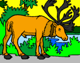 Coloring page Elk painted byANGEL