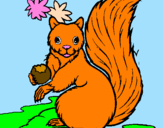 Coloring page Squirrel painted bychandana