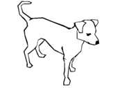 Coloring page Dog painted bysutin