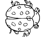 Coloring page Ladybird painted byyani