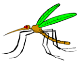 Coloring page Mosquito painted bywill
