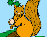 Coloring page Squirrel painted byKayla