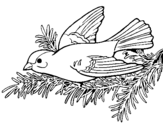 Coloring page Swallow painted byyuan