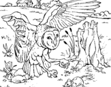 Coloring page Owl hunting painted byG%uFFFDBOR