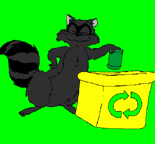 Raccoon recycling
