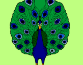 Coloring page Peacock painted byNinja Waffle