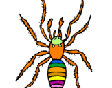 Coloring page Spitting spider painted bybrandon cress