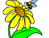 Coloring page Daisy with bee painted byBUTT