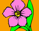 Coloring page Flower painted byjulia rose