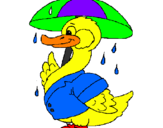 Coloring page Duck in the rain painted byjude holland