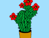 Coloring page Cactus flowers painted byegidijus
