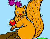 Coloring page Squirrel painted bymatias