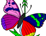 Coloring page Butterfly painted byDaniela