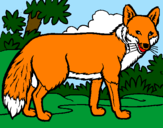 Coloring page Fox painted byCandie
