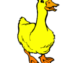 Coloring page Goose painted byDucky The Duck