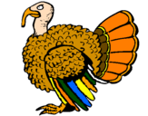 Coloring page Turkey painted byaicia