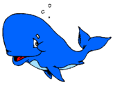 Coloring page Bashful whale painted byleidy 