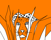 Coloring page Cheetah painted byvalentina mortoro