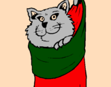 Coloring page Cat in a stocking painted bymichele