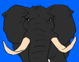 Coloring page African elephant painted byanimal lover