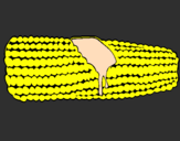 Coloring page Corncob painted bySandy