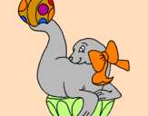 Coloring page Seal playing ball painted byMarga