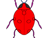 Coloring page Ladybird painted bygenesis