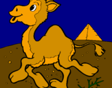 Coloring page Camel painted byirene_ss8