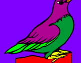 Coloring page Robin painted byscs