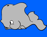Coloring page Whale painted byEVELYN