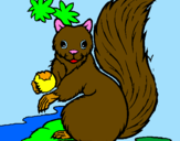 Coloring page Squirrel painted bypere