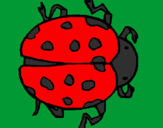 Coloring page Ladybird painted bykayla