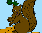 Coloring page Squirrel painted bykoty