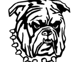 Coloring page Bulldog painted byMadison